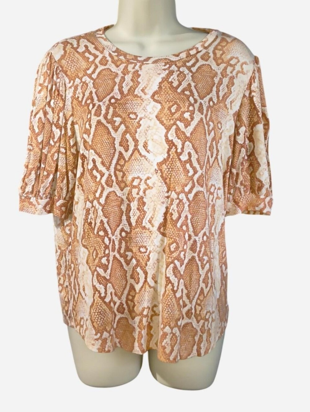 Tinsel Short Sleeve Snake Print Tee in Tan and Cream